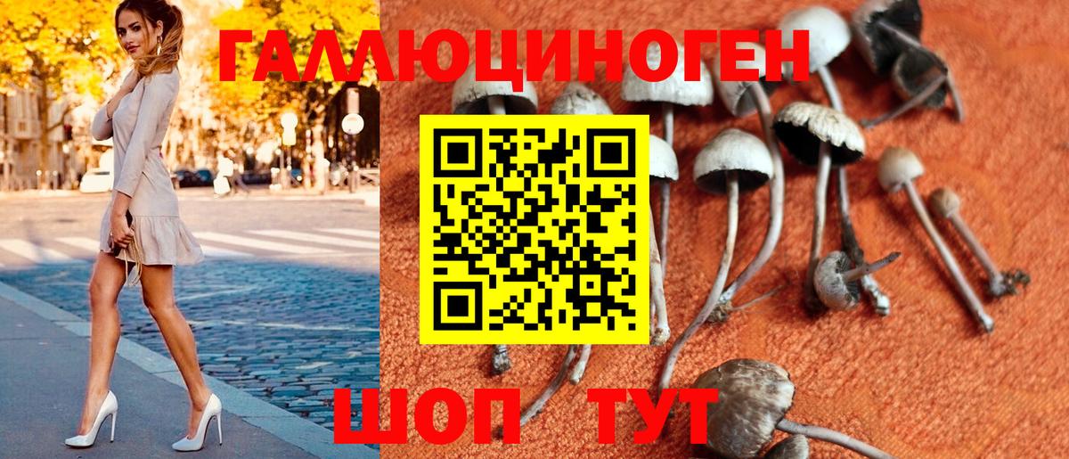 Щёкино  Галлюциногенные грибы Psilocybine cubensis  Вход с VPN  Псилоцибиновые грибы мухоморы 